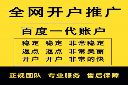 SEO与SEM优化案例：打造行业领先品牌